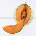 Graine bio MELON Tobbia  F1 