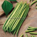 Graine bio HARICOT Nain Fin Argus