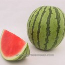 PASTEQUE Triploid (Seedless)