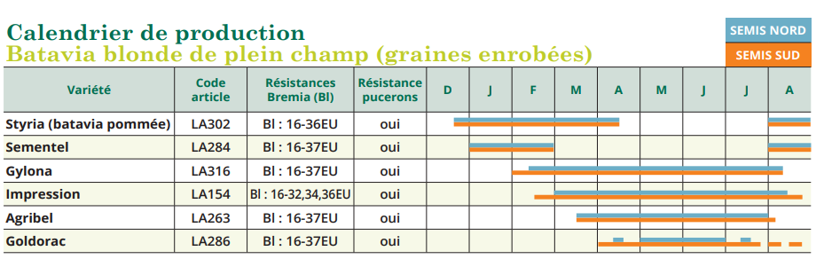 tableau de semis batavia blonde de plein champ 