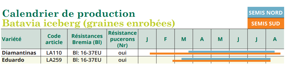 tableau de semis batavia iceberg 
