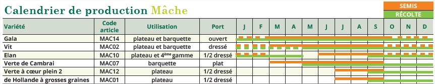 Calendrier semis mache