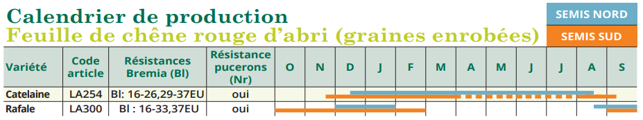 tableau de semis feuille de chêne rouge d'abri
