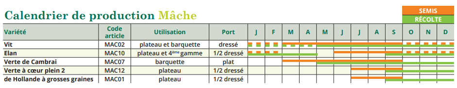 tableau de semis mâche 