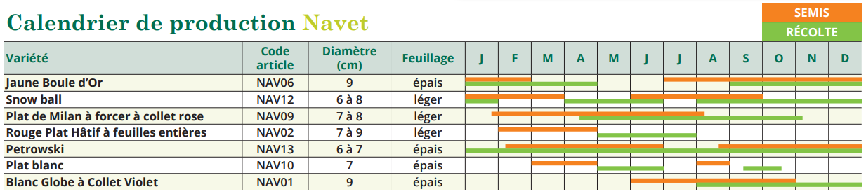 tableau de semis navet