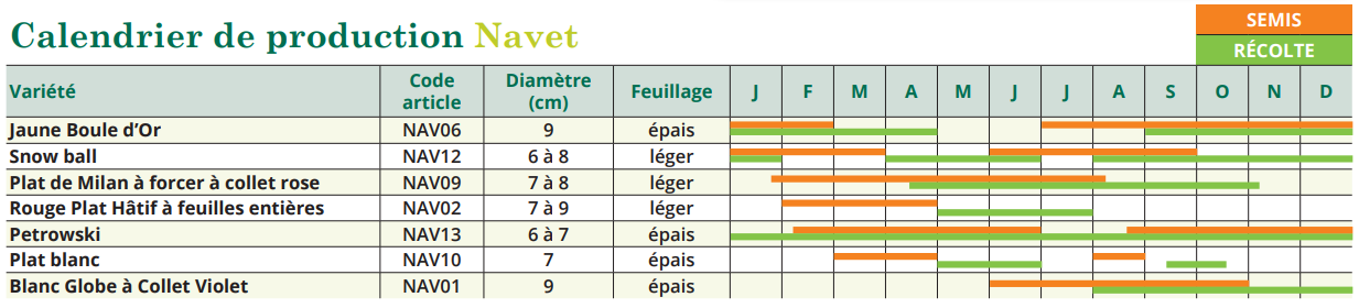 tableau de semis navet 