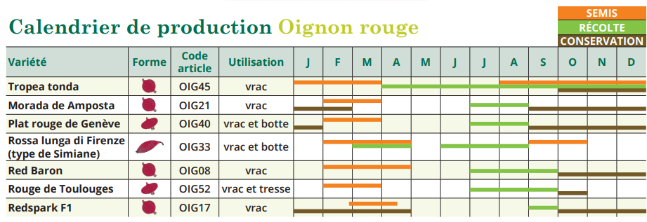 tableau de semis oignon rouge 