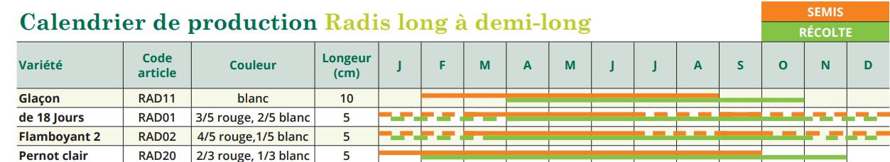 Tableau de semis radis long à demi long 