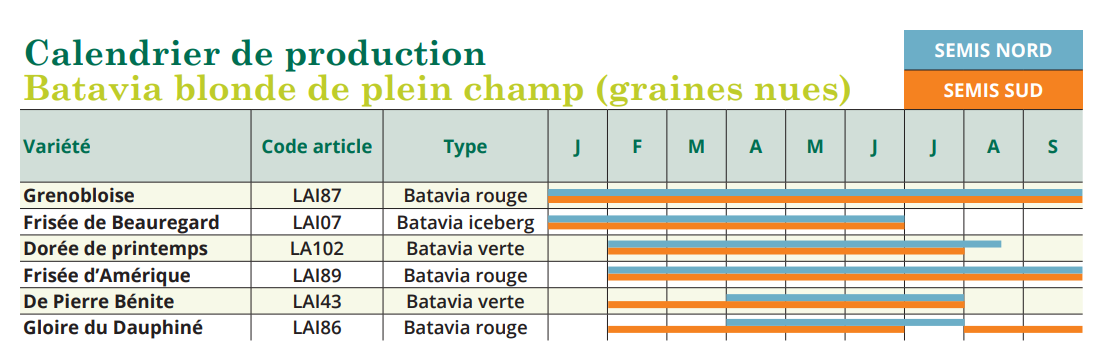 tableau de semis batavia blonde de plein champ 