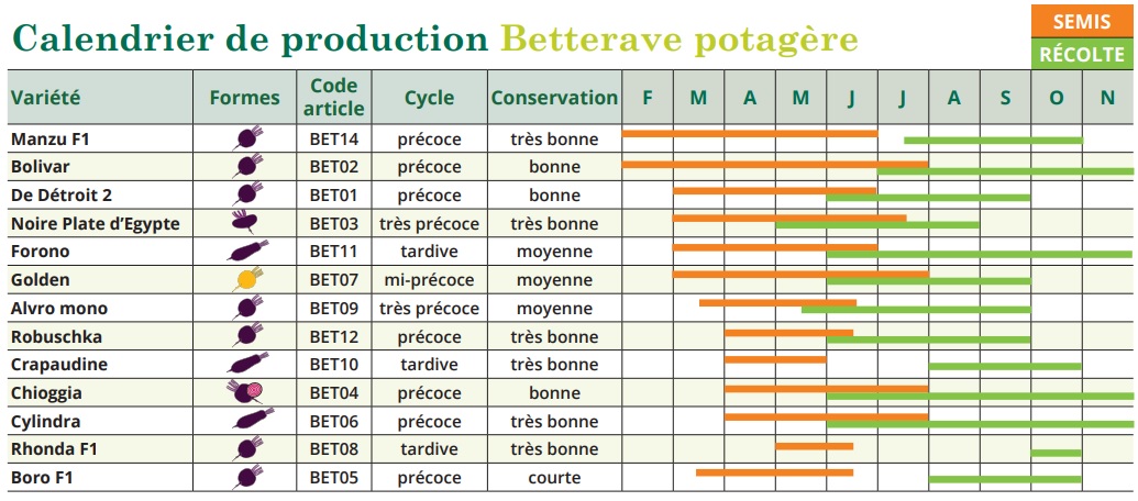 Tableau de semis bettrave