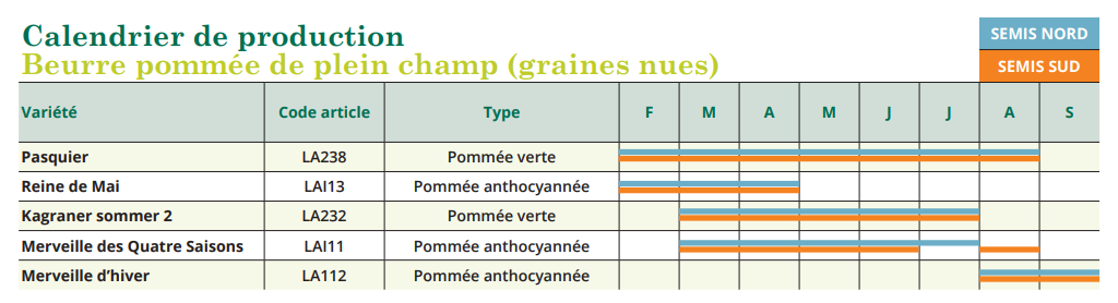 tableau de semis beurre pommée de plein champ 