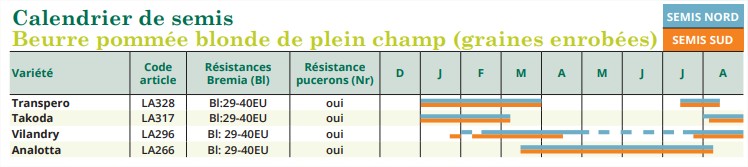 Calendrier semis Beurre P Plein C