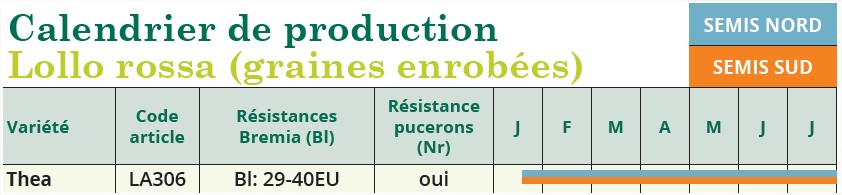 calendrier semis lollo rossa