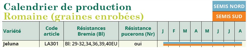 calendrier semis romaine PC