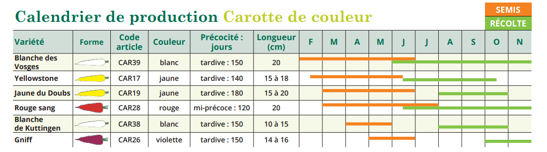 Tableau de semis  carotte de couleur 