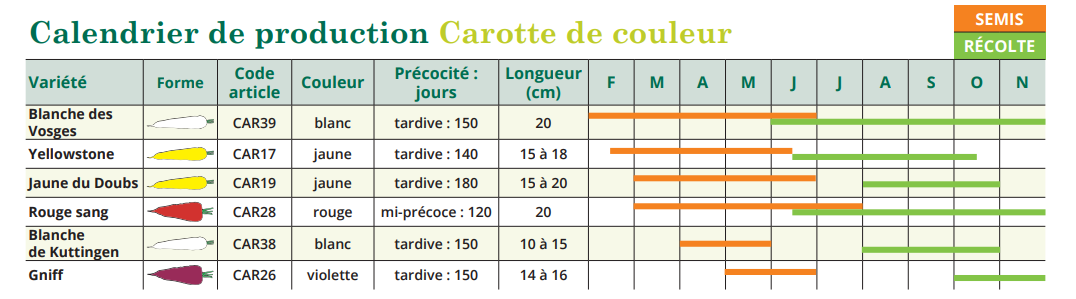 Tableau de semis carotte de couleur 