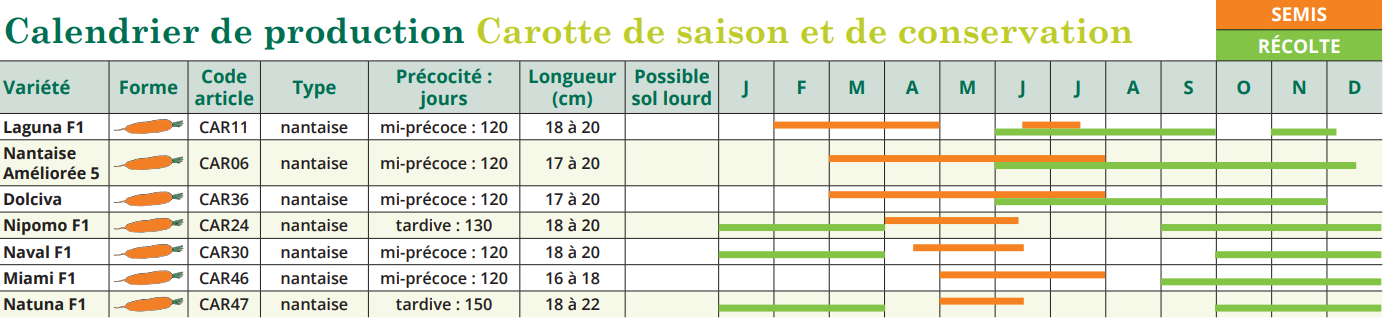 Tableau de semis Carotte de saison et de conservation Type Nantaise