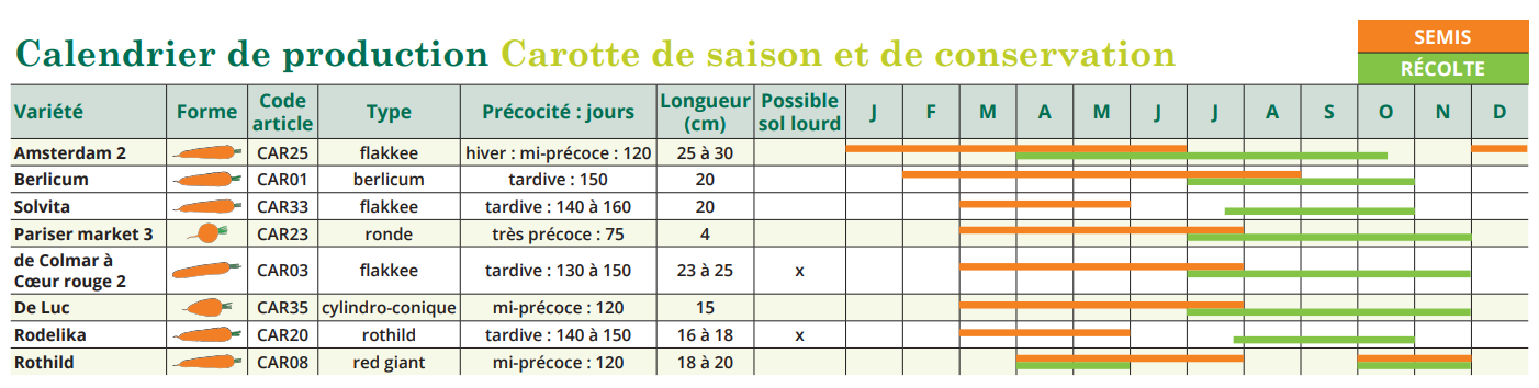 Tableau de semis Carotte de saison et de conservation