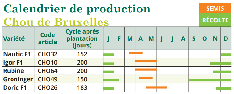 tableau de semis chou de bruxelles 