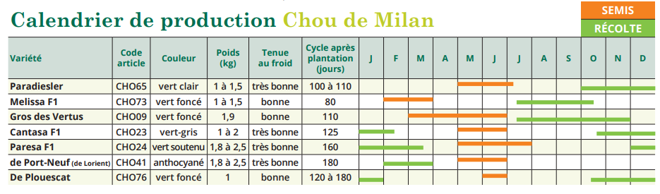 tableau de semis chou de milan 