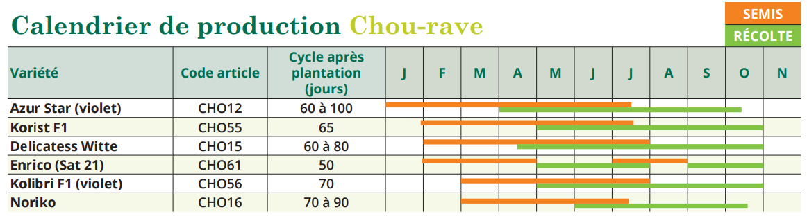 tableau de semis chou-rave 