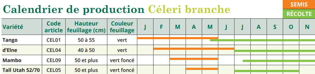 Tableau de semis Céleri-branche (ou à côte) 