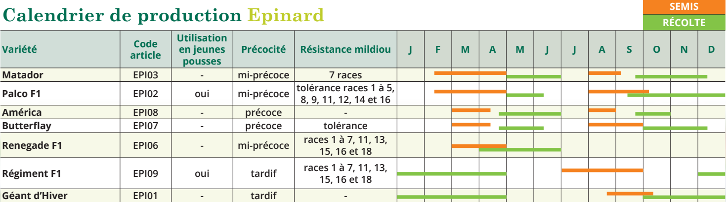 tableau de semis epinard 