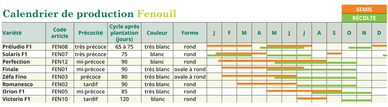 tableau de semis fenouil 