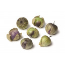 PHYSALIS  Tomatillo pourpre (violet)