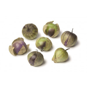 PHYSALIS  Tomatillo pourpre (violet)