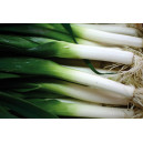 POIREAU d’Hiver St Victor