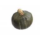 COURGE Buttercup