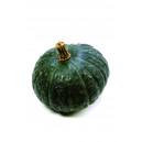 COURGE POTIRON Vert Kabocha  