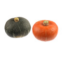 COURGE POTIRON Vert Kabocha  