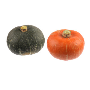 COURGE POTIRON Vert Kabocha  