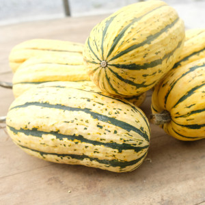 COURGE Delicata