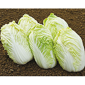 CHOU de Chine Atsuko