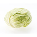 CHOU Cabus blanc Holsteiner Platter