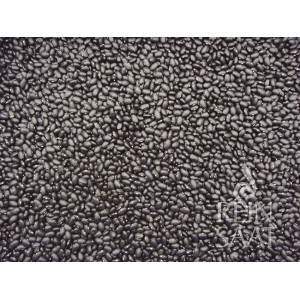 HARICOT NAIN Black Turtle