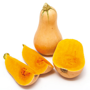 COURGE Early Butternut