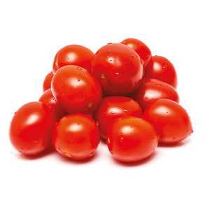 TOMATE Brin de Muguet