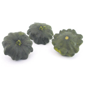 PATISSON Scallopini F1