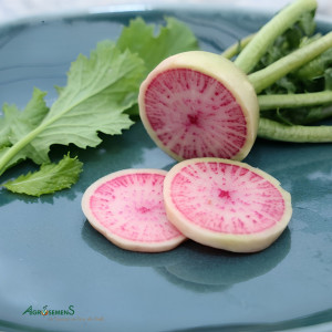 RADIS Red Meat