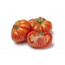 TOMATE Potiron Ecarlate 