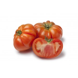 TOMATE Potiron Ecarlate 