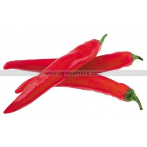 PIMENT de Cayenne