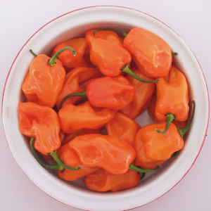 PIMENT Hot Habanero Orange