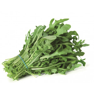 ROQUETTE Cultivée