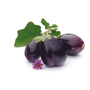 AUBERGINE Monstrueuse de New York