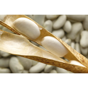 HARICOT Nain Lingot Suisse